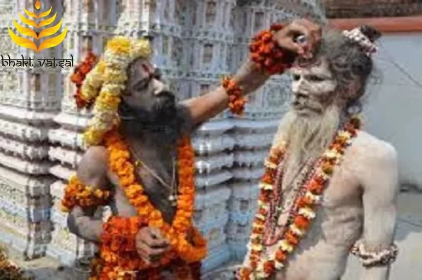 कौन होते हैं प्रयाग के नागा साधु