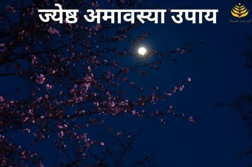 ज्येष्ठ अमावस्या के उपाय