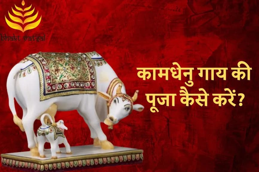 कामधेनु गाय की पूजा कैसे करें?