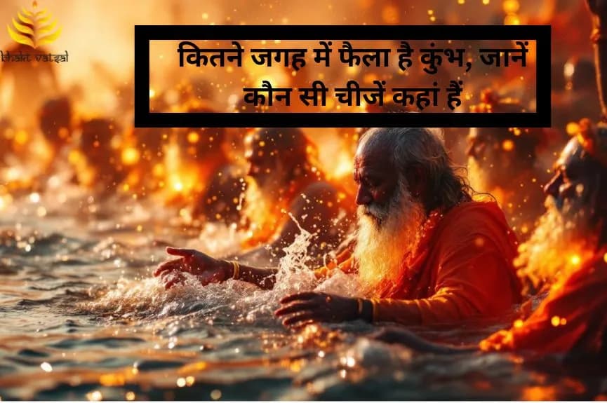 कितने जगह में फैला है कुंभ, जानें कौन सी चीजें कहां हैं