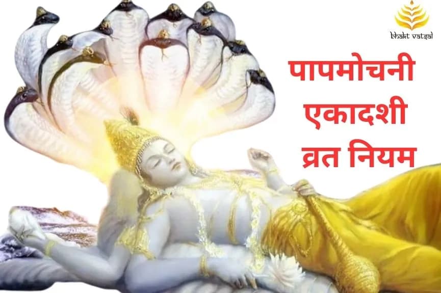 पापमोचनी एकादशी व्रत के नियम
