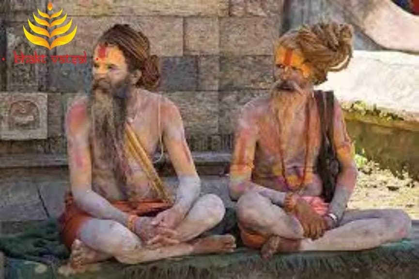 रहस्यमयी जिंदगी जीते हैं नागा साधु