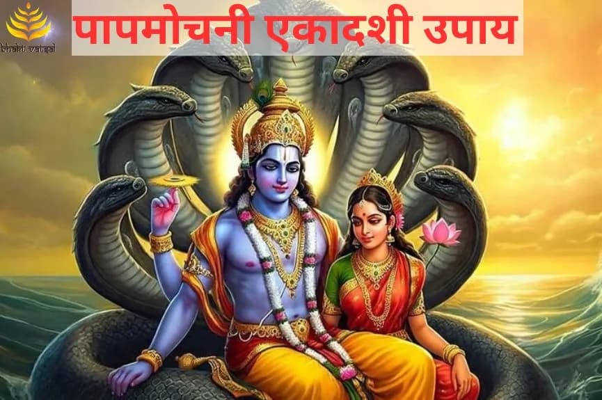 पापमोचनी एकादशी के उपाय