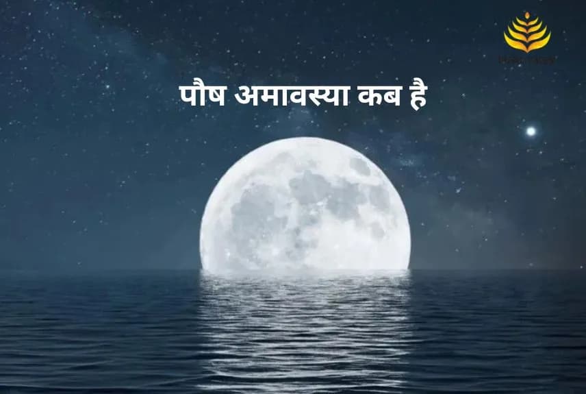पौष अमावस्या कब है
