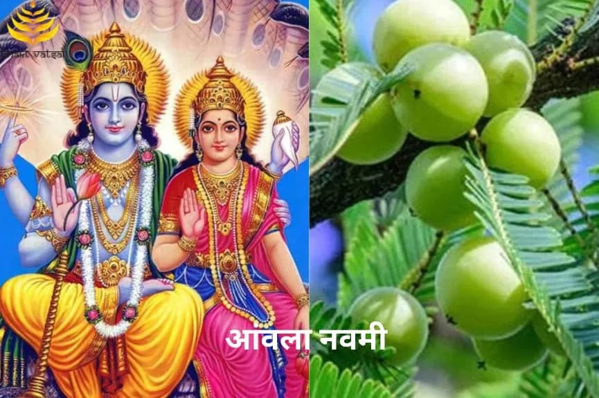 आंवला नवमी शुभ मुहूर्त और पूजा विधि