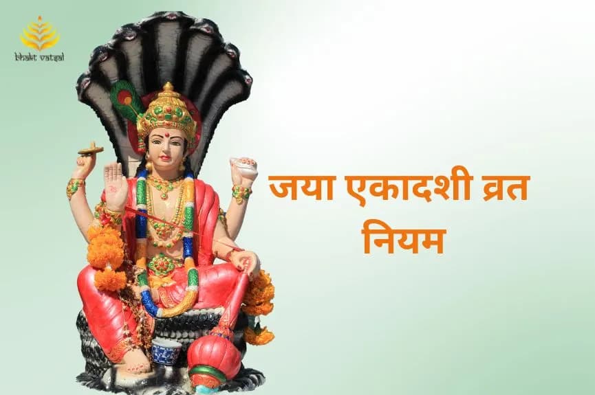 जया एकादशी व्रत नियम