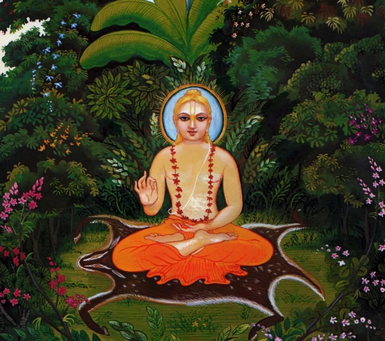 कपिल अवतार (Kapil Avataar)
