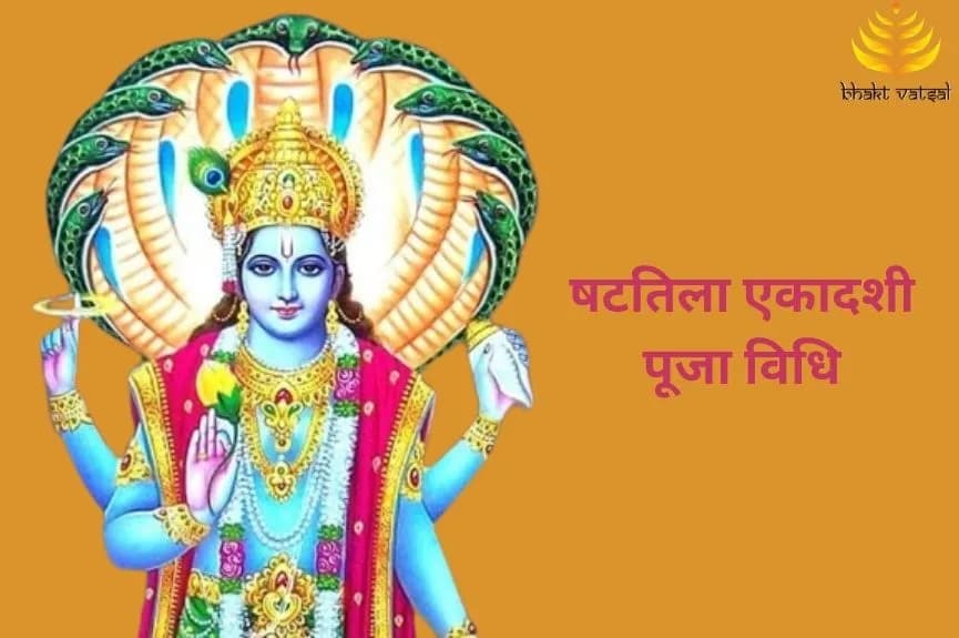 षटतिला एकादशी पूजा विधि