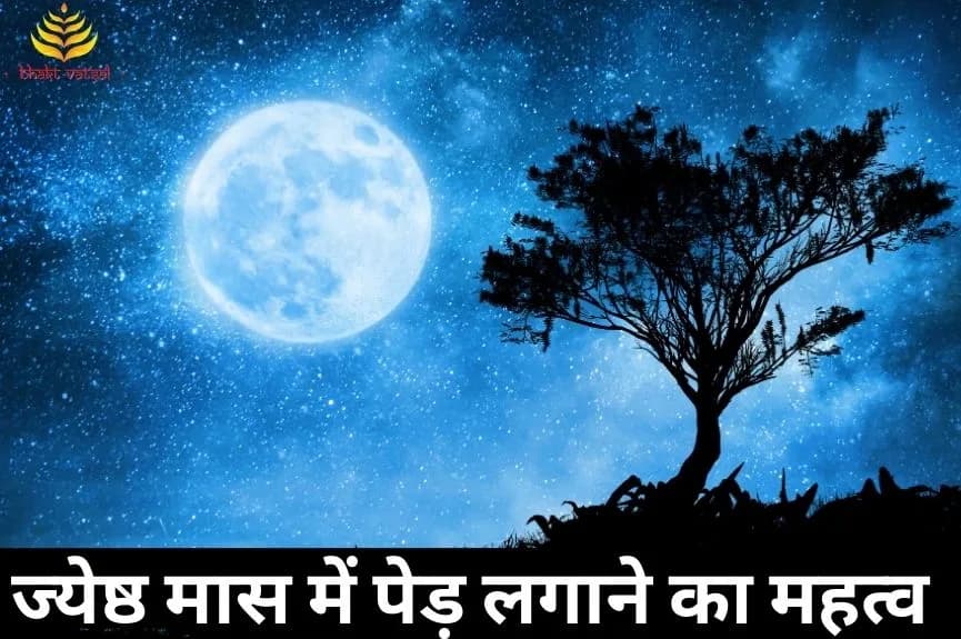 ज्येष्ठ मास में पेड़ लगाने का महत्व