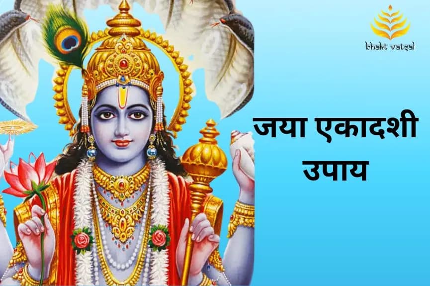 जया एकादशी उपाय