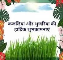 क्यों मनाते हैं कजलियां पर्व (Kyon Manaate Hain Kajaliyaan Parv)