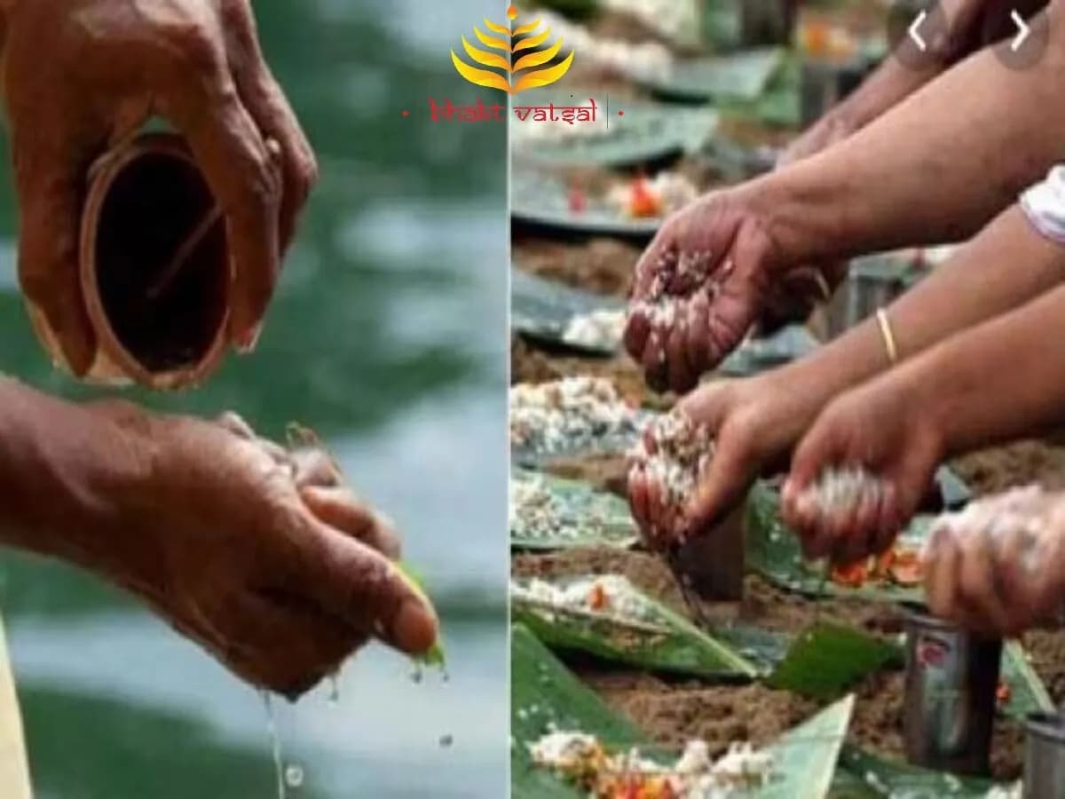 पितृपक्ष में क्यां करें, क्या नहीं