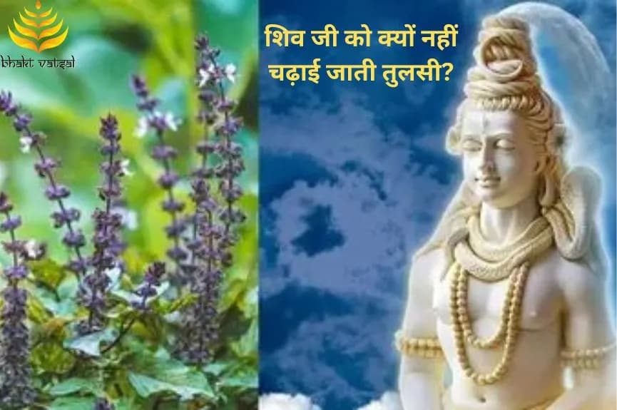 शिव जी को क्यों नहीं चढ़ाई जाती तुलसी?
