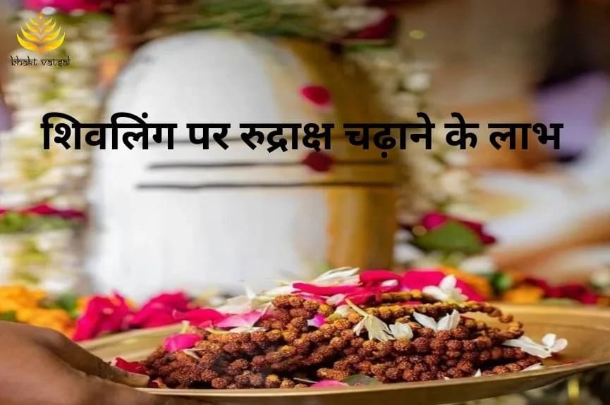 शिवलिंग पर रुद्राक्ष चढ़ाने के लाभ