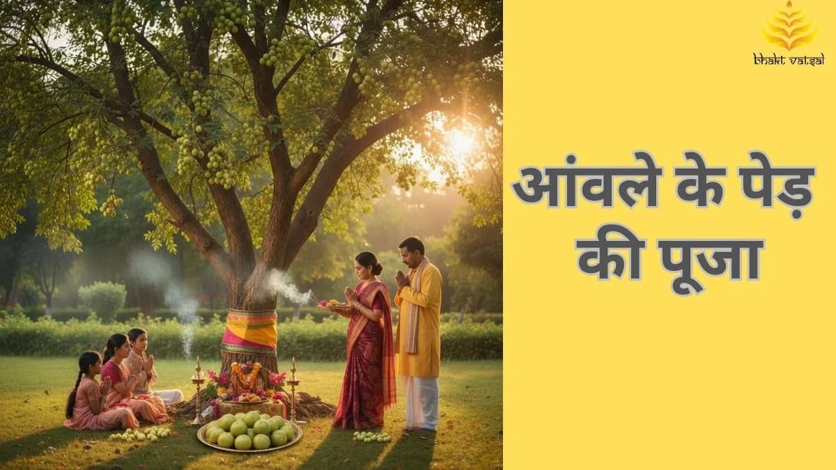 अक्षय नवमी पर आंवले के पेड़ की पूजा