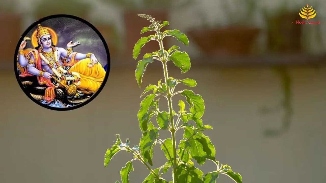 मोक्षदा एकादशी पर कैसे करें तुलसी पूजन