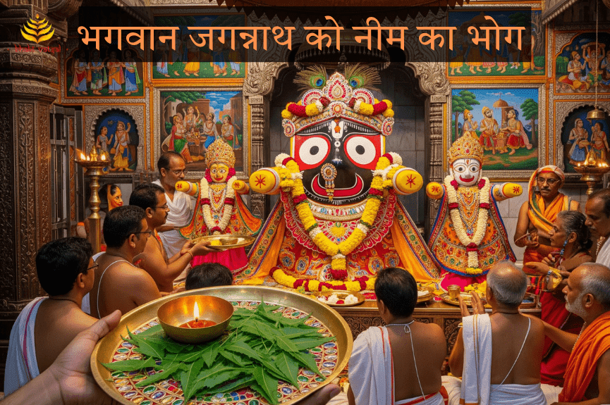  भगवान जगन्नाथ को नीम का भोग