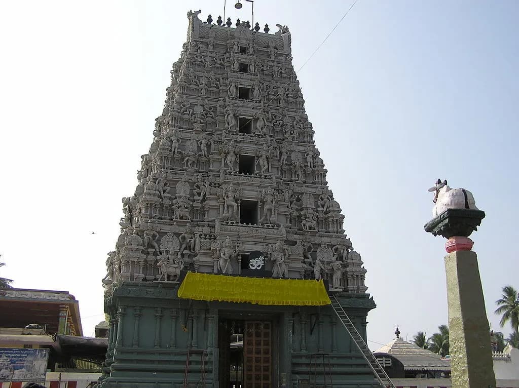 श्री सोमेश्वर जनार्दन स्वामी मंदिर- आंध्र प्रदेश (Sri Someshwara Janardhana Swamy Temple- Andhra Pradesh)