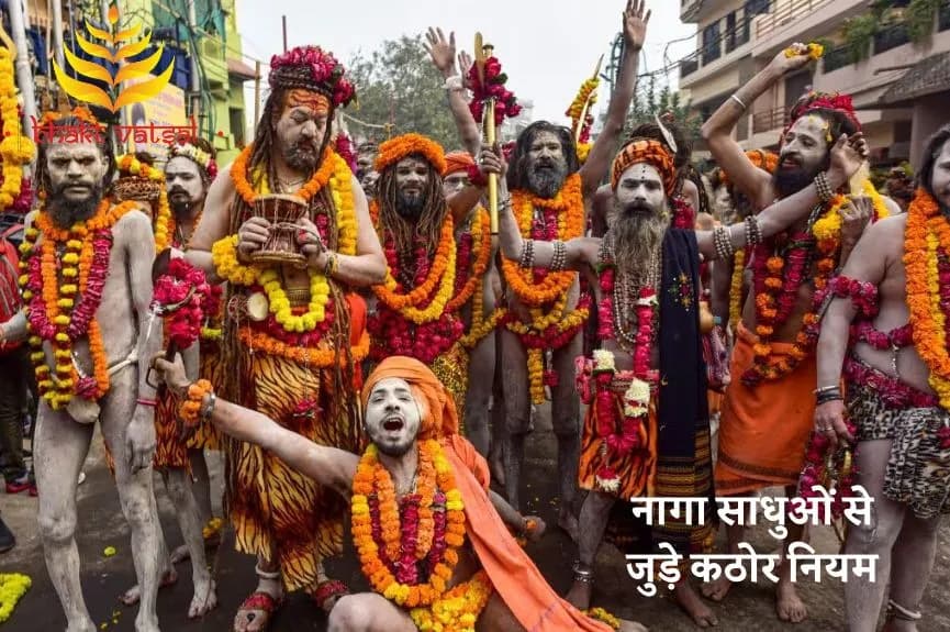 नागा साधुओं से जुड़े कठोर नियम