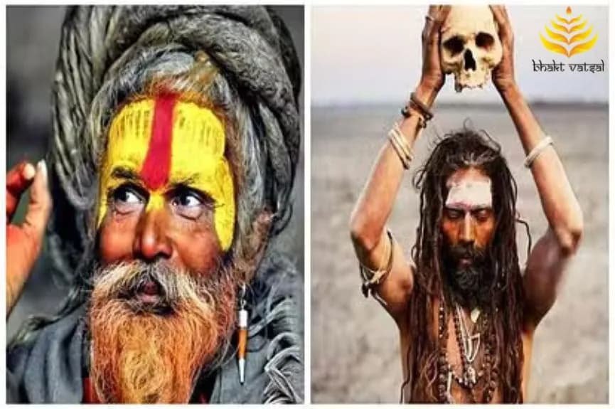 अघोरी और नागा साधु में क्या अंतर है?