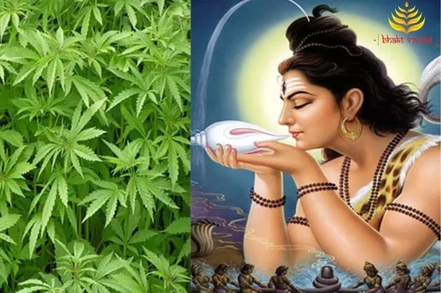 भगवान शिव को भांग क्यों प्रिय है?
