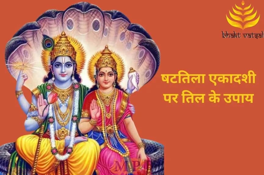 षटतिला एकादशी पर तिल के उपाय