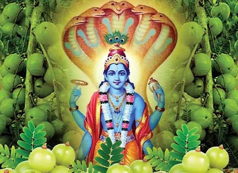 फाल्गुन शुक्ल आमलकी नाम एकादशी व्रत (Falgun Shukal Aamlaki Naam Ekadashi Vrat)